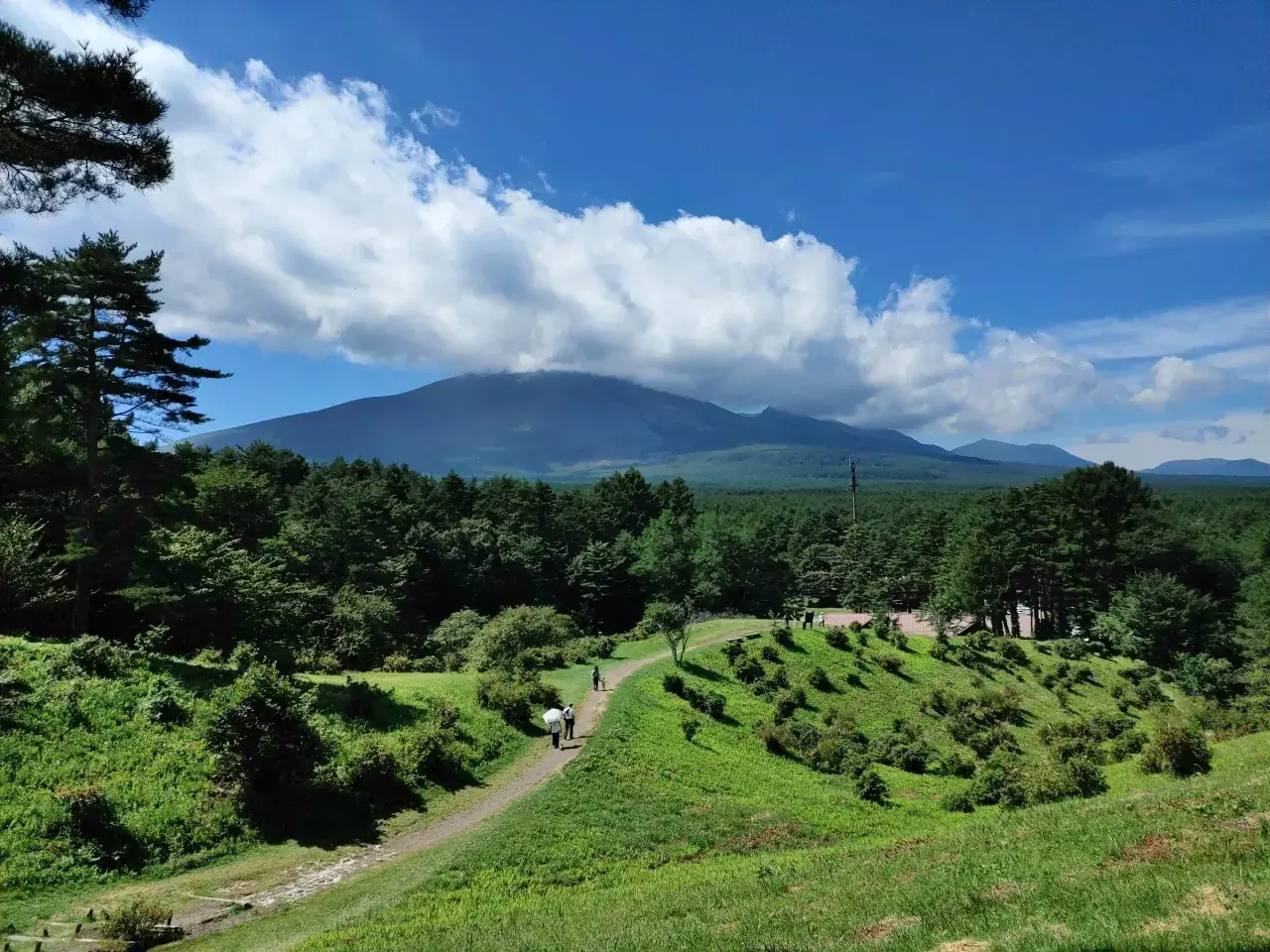 清水多商事株式会社 お問合せ